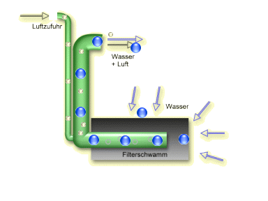 Schaumstofffilter Schaumstofffilter