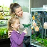 Aquarium für Kinder geeignet