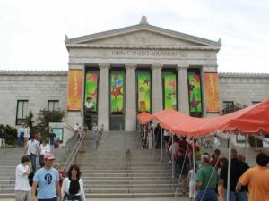 Rang 7: Shedd_Aquarium