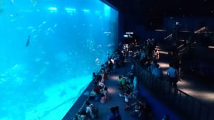 Rang 2: Marine Life Park Singapore