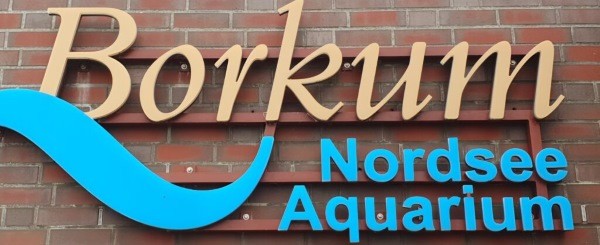 Nordsee Aquarium