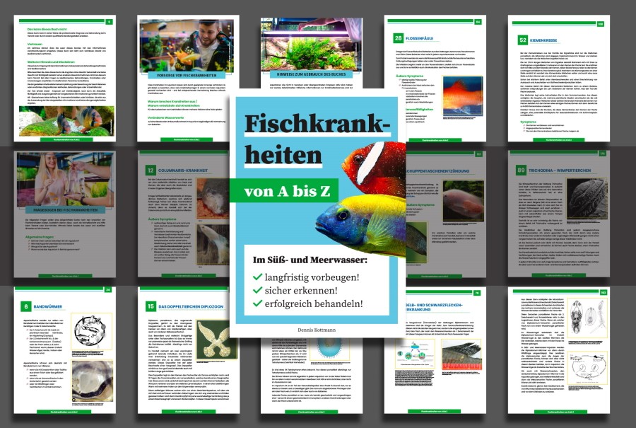 Fischkrankheiten