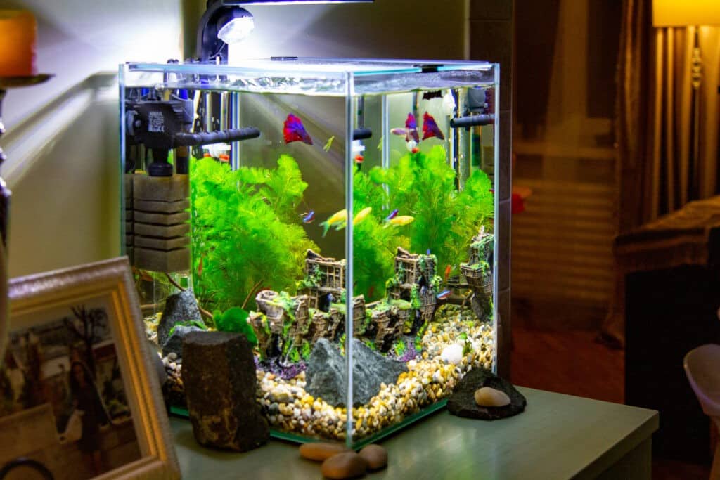 Nano Aquarium