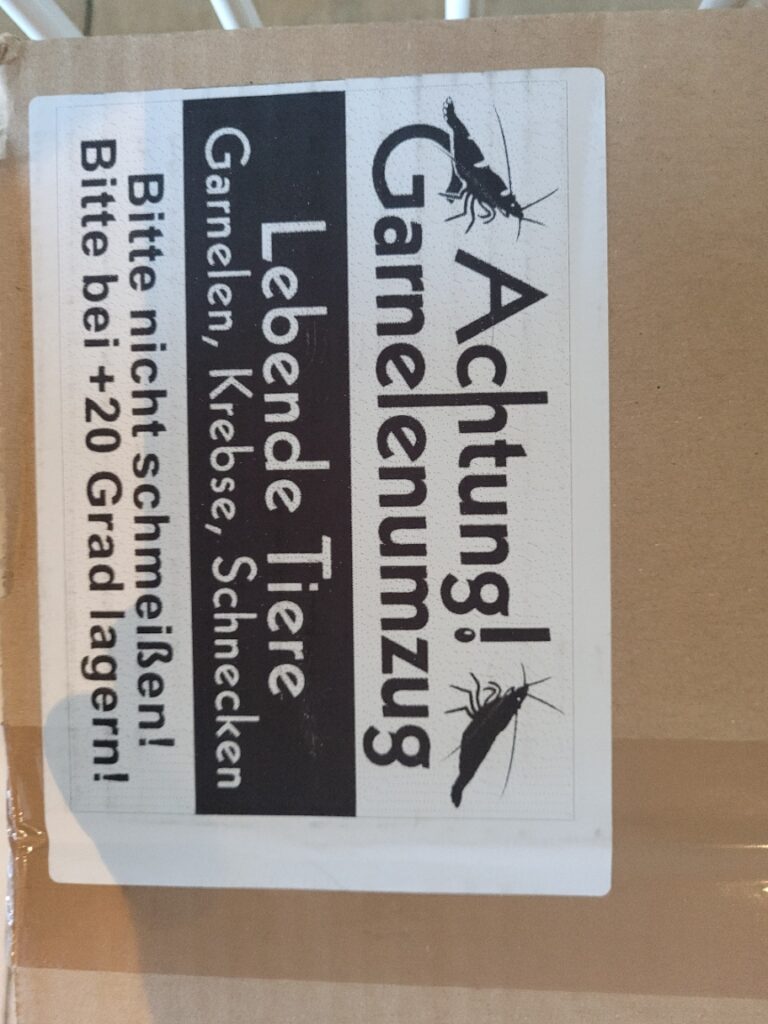 Garnelen-guemmer 