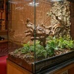 Heizmatte fürs Terrarium