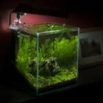 nano aquarium einrichten