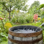 Regenwasser im Garten nutzen