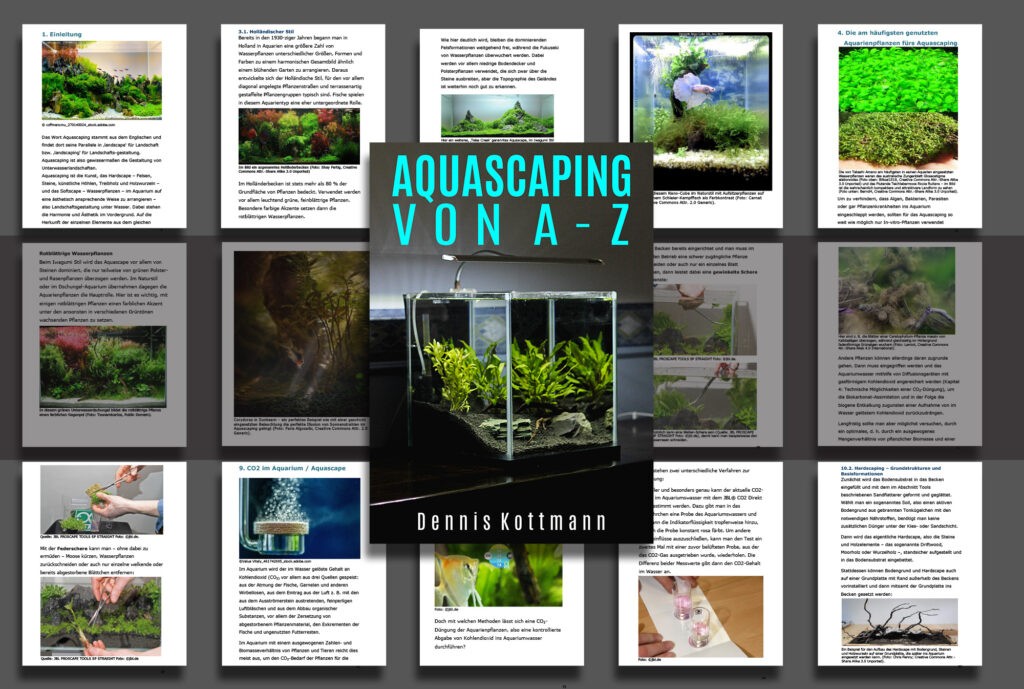Aquascaping Von A Z
