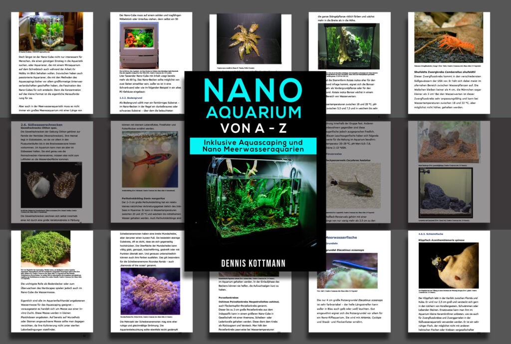 NANO AQUARIUM