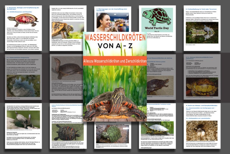 Wasserschildkröten von A-Z