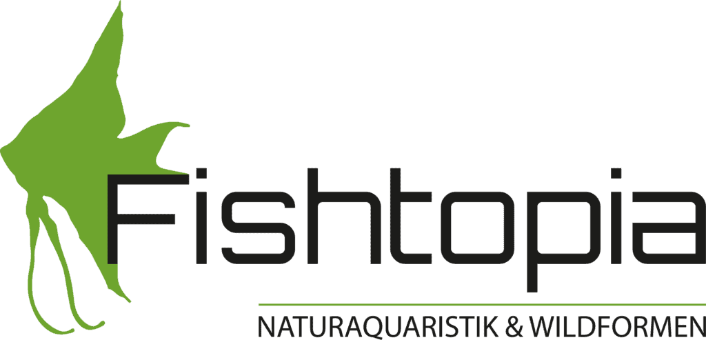 Logo Fishtopia 2020 RGB 1024x493 1