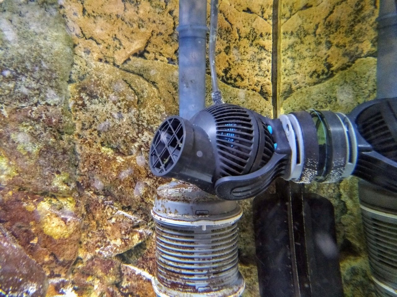 ▷ Strömungspumpen im Aquarium