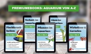 Aquarium Ratgeber
