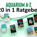 Aquarium-A-Z